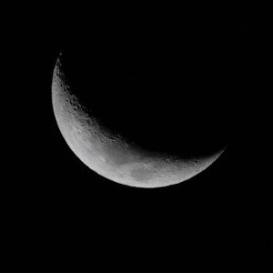 MOONLIGHT