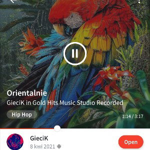 🎁Dobremordy🎁GieciK & Arek GS & PAZI - Orientalnie💯 
