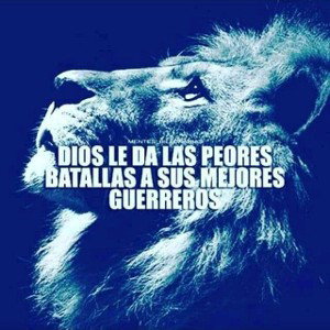 el dueño