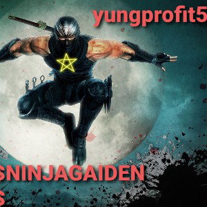$NINJAGAIDEN$