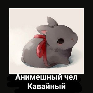 SR1 - отпетые анимешники 