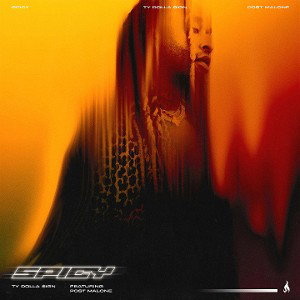 Ty Dolla $ign - Spicy (Lyrics) ft. Post Malone