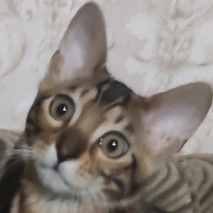 Чтооооооо?