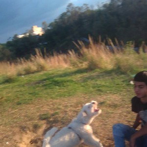Sobreviviendo ala sobriedad 