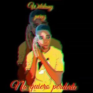 No quiero perderte Wildany perez 🥰❤ (Audio OFiciall)#Mentirosa #NoLimit #Karetaa #eldepredador 