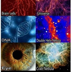 BREAKING THROUGH AN OUTER BRAIN LAYER OF ONE'S UNIVERSE