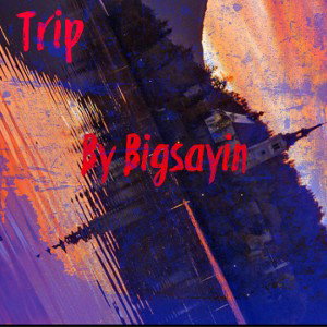 Trip