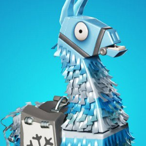LA CIMA FORTNITE