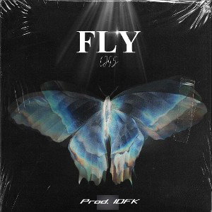 Fly