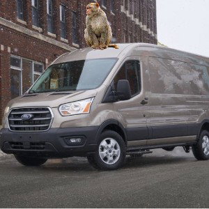 Monkey Van