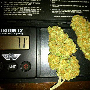 Cheesy & Leonidas - Triton T2 