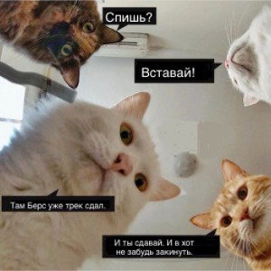 однажды проснувшись