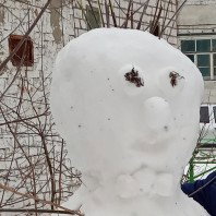 Зимняя пора