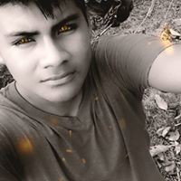 ele z