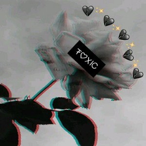 flackint  - Gucci  lu Prada