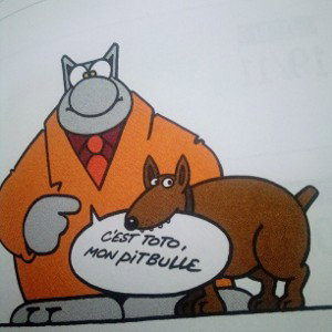entraînement