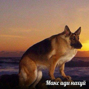 демо2(не слушаем, рано)