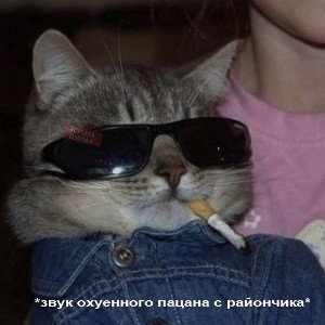 будни 