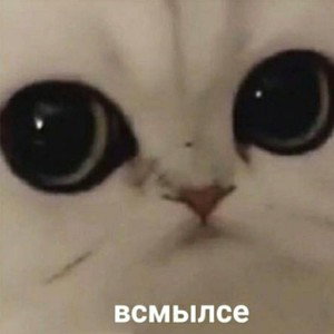 Мир за спасибо
