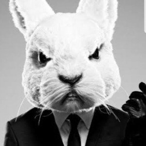 Da bunny