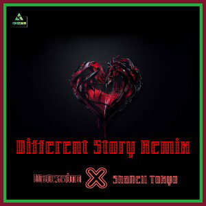 Diffrent Story Remix (feat. ShaNell Tokyo)