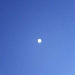 Blue Sky