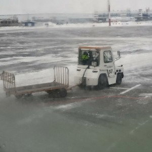 новечёк 