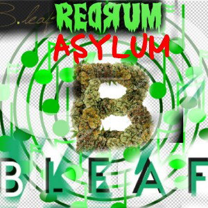 (R3DRUM) *Freestyle*