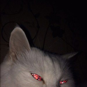 В последний путь