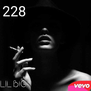228