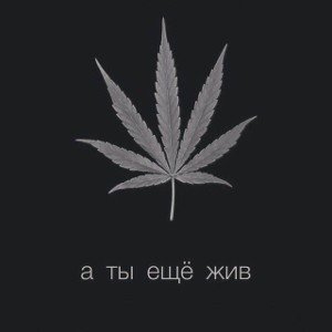 фристайл
