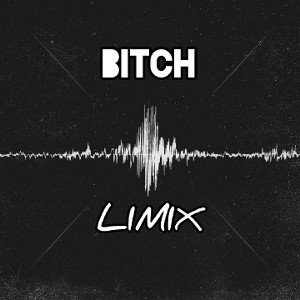 Bitch
