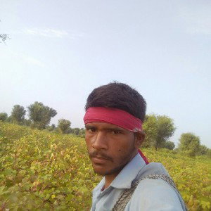 ravinanap