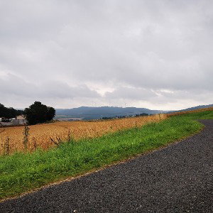 An der Spitze(Freestyle) 