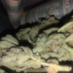 BEST FOR ME freestyle