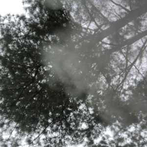Damage