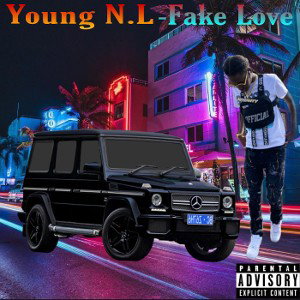 YoungN.L-Fake Love