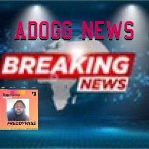 Freddywise News