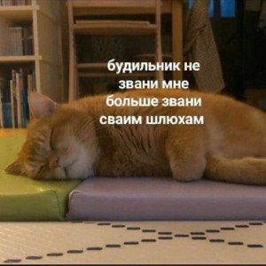 Будущяя песня ждите )