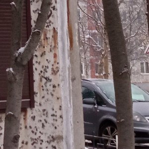 настроение осень