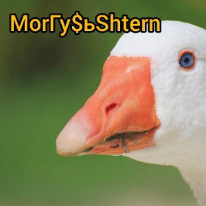 MorГу$ьShtern