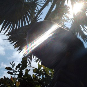 look up into the sky