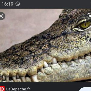 💯 La Vérité 💥