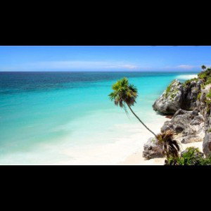 MT deux(le_vrai-solo)-Mexico