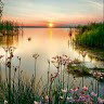 Pink _13-11