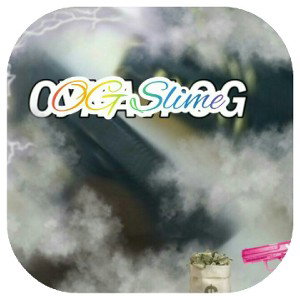 OG готов