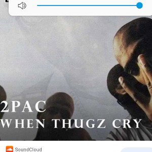 Gotti - Thugz cry