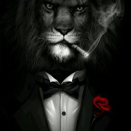 LION THE inflar