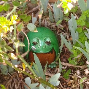 froggy