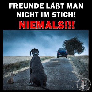 beginne